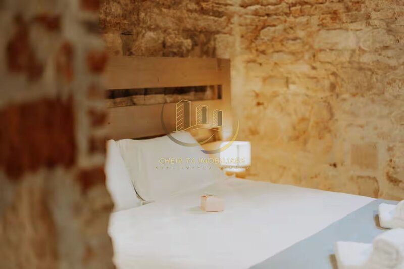 Apartament cu farmec istoric – 40 mp, parter, in centrul orasului